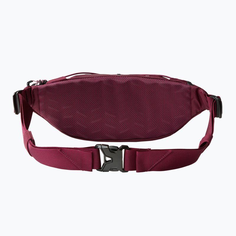 The North Face Lumbnical 4 l boysenberry vesetasak 2
