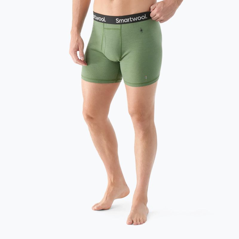 Férfi Smartwool Merino Boxer Thermal Boxer Brief Boxed páfrány zöld 2