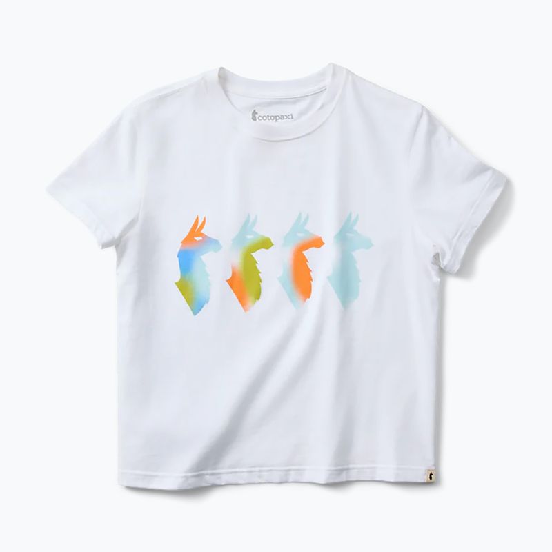 Női póló Cotopaxi Cuatro Bitmap white 5