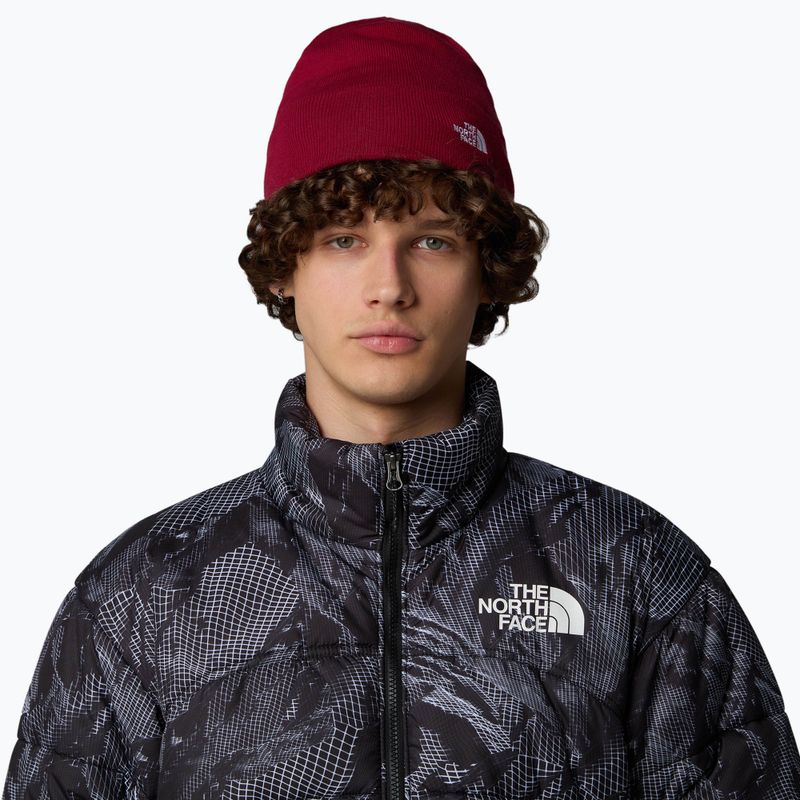 Férfi túrasapka The North Face Norm Beanie céklalábas 3