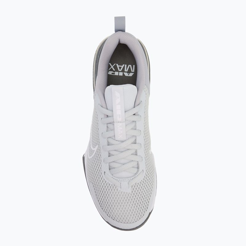 Férfi edzőcipő Nike Air Max Alpha Trainer 6 cool grey/wolf grey/pure platinum/white 5