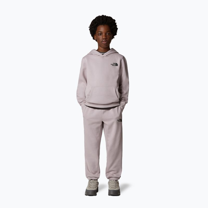 Gyermek pulóver The North Face Teen Simple Dome Hoodie moonstone szürke 2