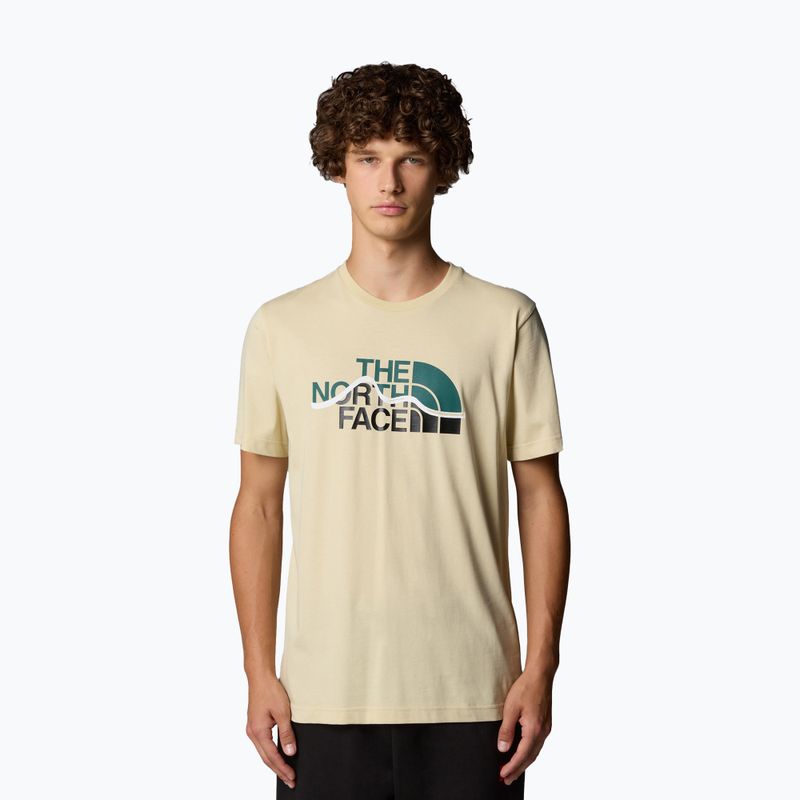 Férfi The North Face Mountain Line Tee kavicsos póló póló