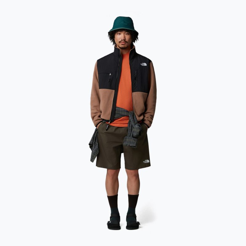 Férfi rövidnadrág The North Face Limestone new taupe green 2