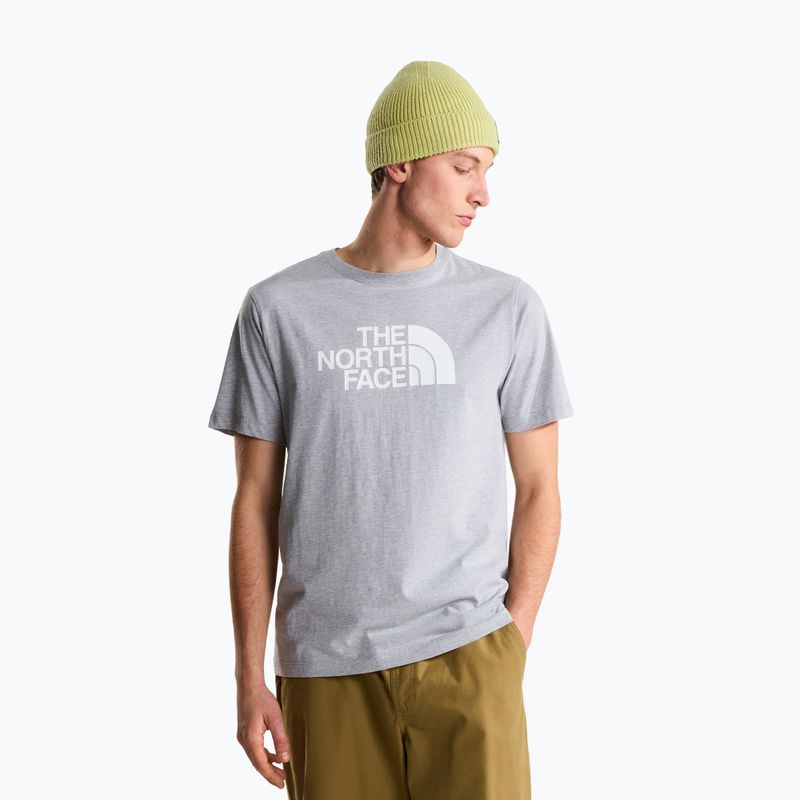 Férfi póló The North Face Evolution Half Dome tnf pale grey heather