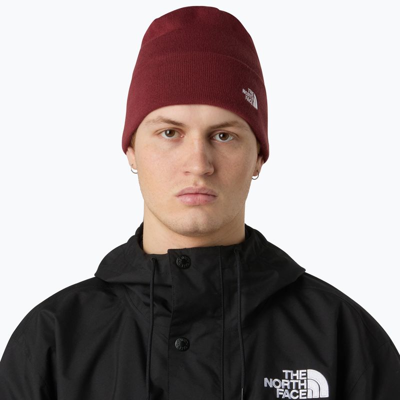 The North Face Norm Beanie téli sapka sumac 3