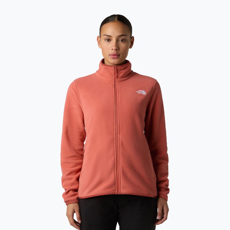 Női gyapjú pulóver The North Face Glacier Fleece mars por