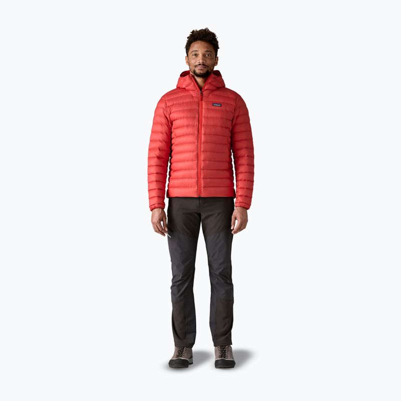 Férfi pehelydzseki Patagonia Down Sweater Hoody amanita red 2