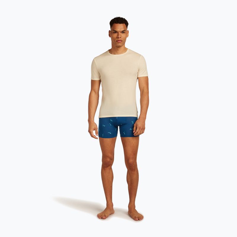 Férfi termikus boxeralsó jégtörő Anatomica Snow Day atlantis/topaz/aop 5