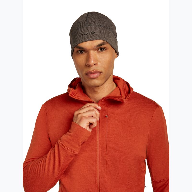 Férfi Icebreaker Merino 260 Quantum IV Zip Hoodie achate 6
