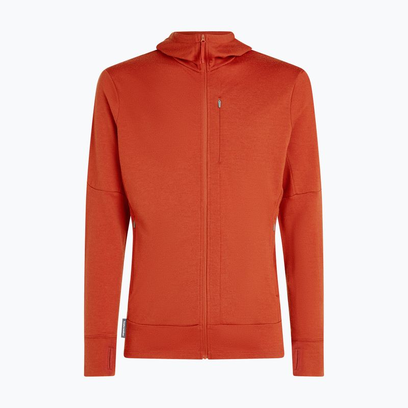 Férfi Icebreaker Merino 260 Quantum IV Zip Hoodie achate 10