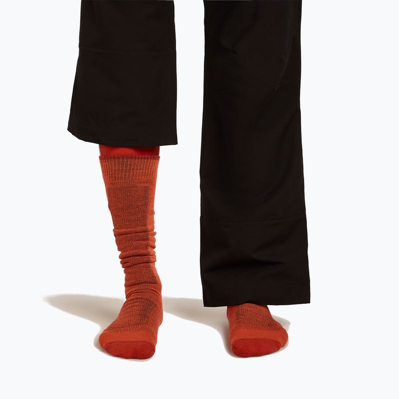 Férfi sízokni Icebreaker Merino Ski+ Medium OTC fervid/agate/java 3