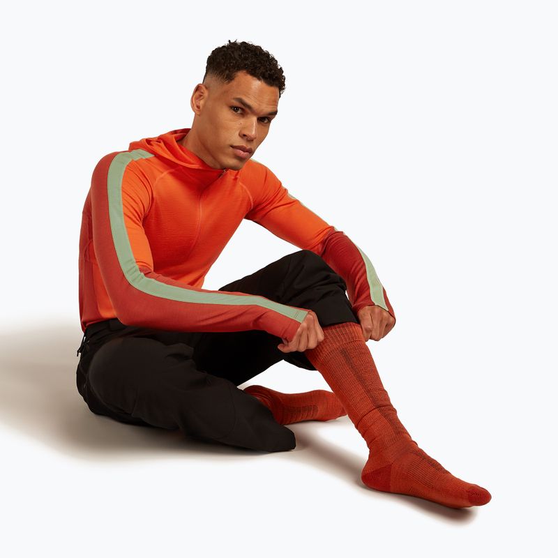 Férfi sízokni Icebreaker Merino Ski+ Medium OTC fervid/agate/java 4