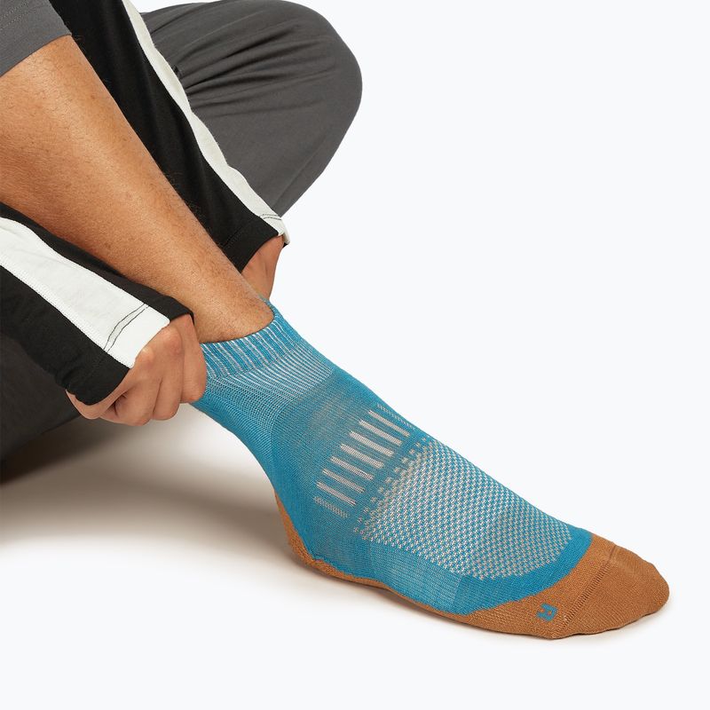 Férfi Icebreaker Merino Hike+ Light Mini topáz/trail zokni 3