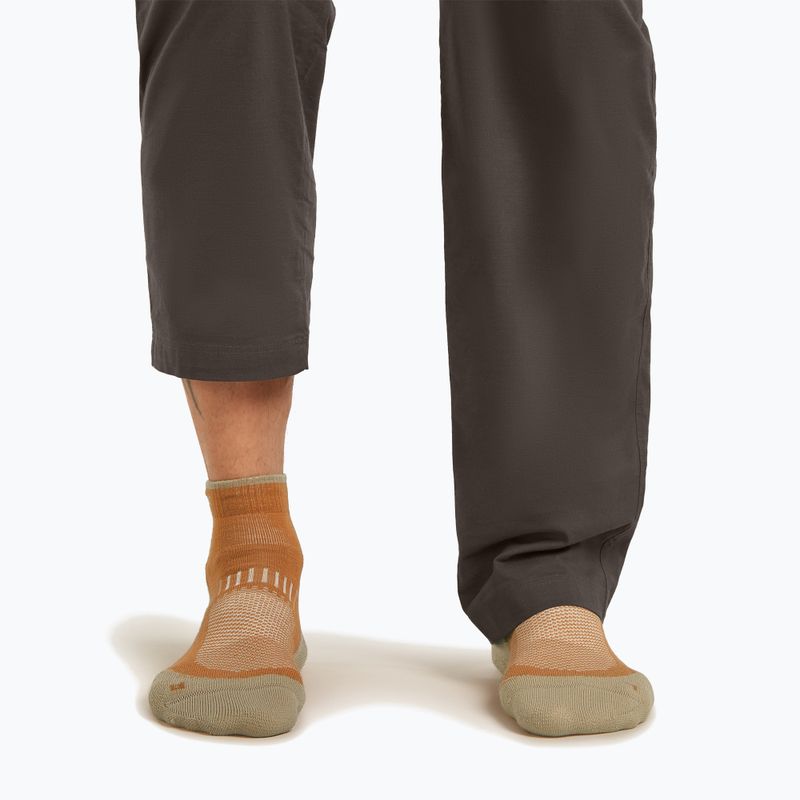 Férfi zokni Icebreaker Merino Hike+ Light Mini trail/flagstone 3