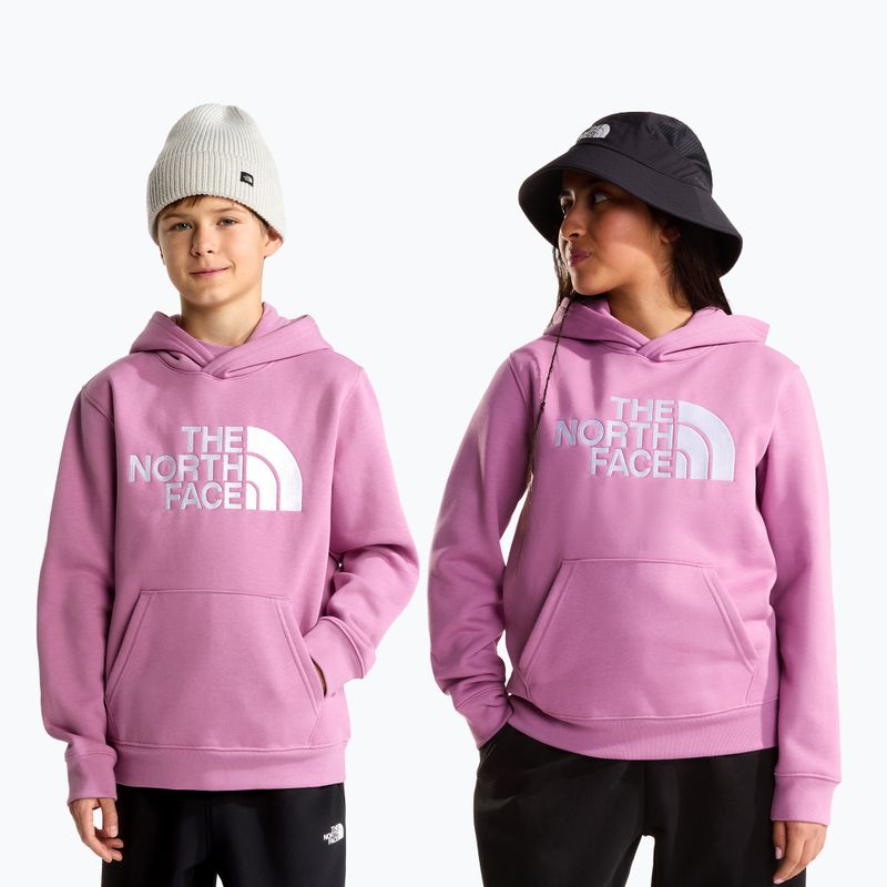 Gyerekpulóver The Noryh Face Essential Drew Peak Hoodie hushed lavender 3