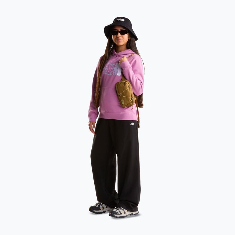 Gyerekpulóver The Noryh Face Essential Drew Peak Hoodie hushed lavender 4