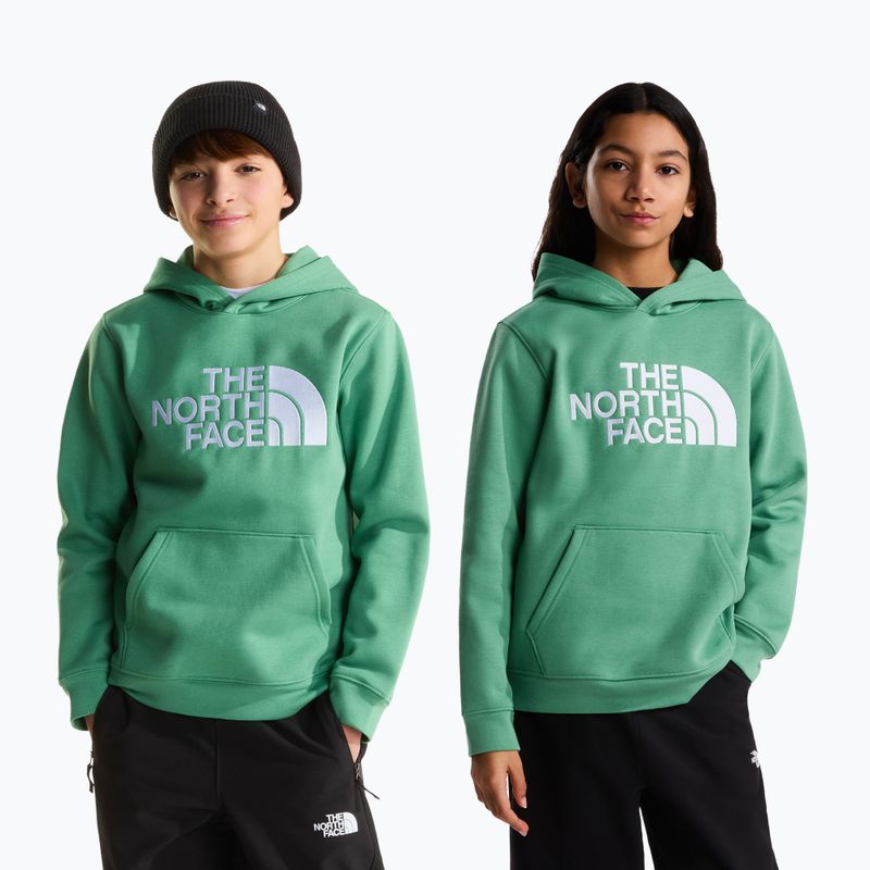 Gyerekpulóver The Noryh Face Essential Drew Peak Hoodie dimmed algae 3