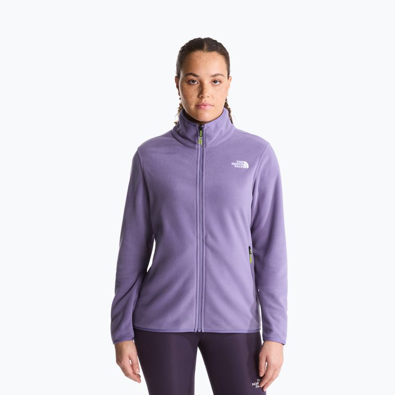 Férfi polár pulóver The North Face Glacier Fleece grounded plum