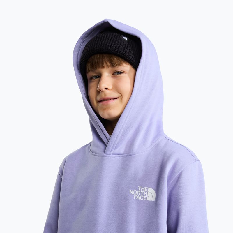 Gyerekpulóver The North Face Evolution Box NSE Pullover Hoodies pale plum 6