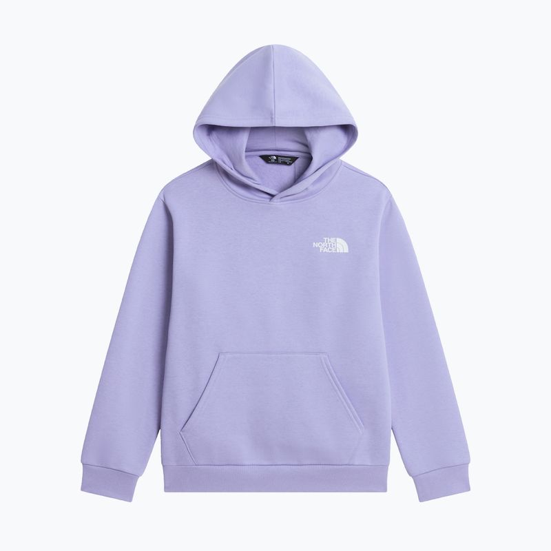 Gyerekpulóver The North Face Evolution Box NSE Pullover Hoodies pale plum 7