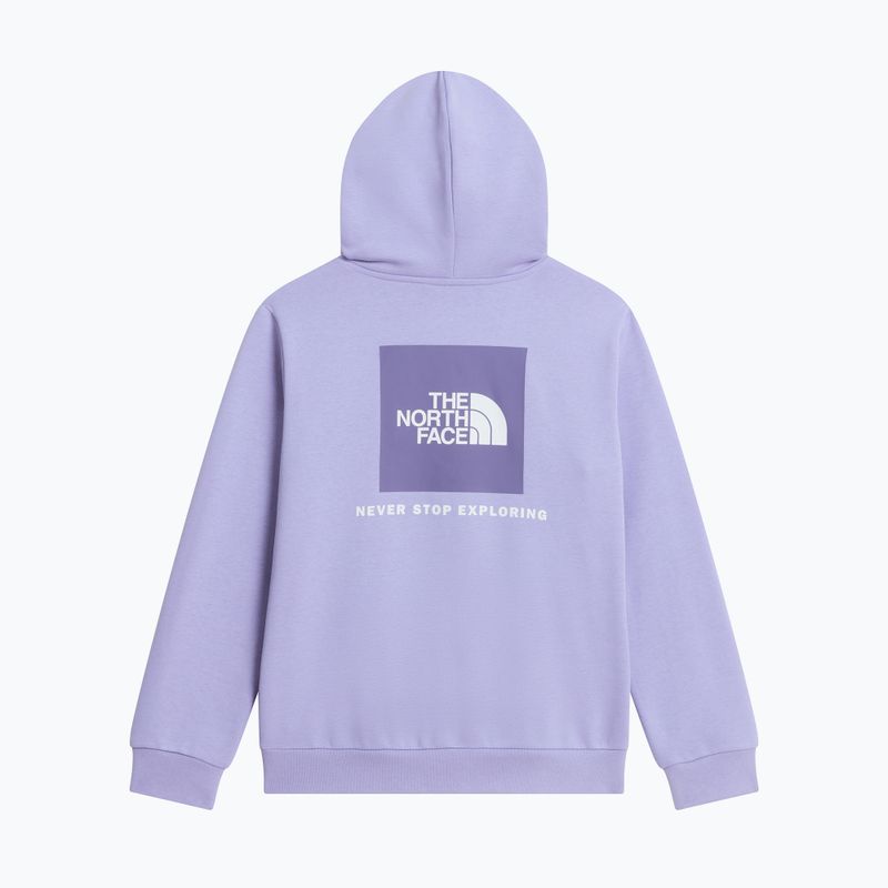 Gyerekpulóver The North Face Evolution Box NSE Pullover Hoodies pale plum 8