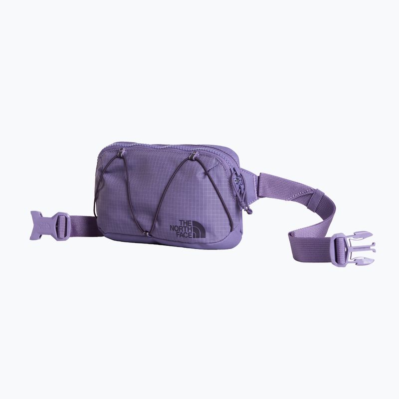 Övtáska The North Face Terra Lumbar 1 l grounded plum/endless 2