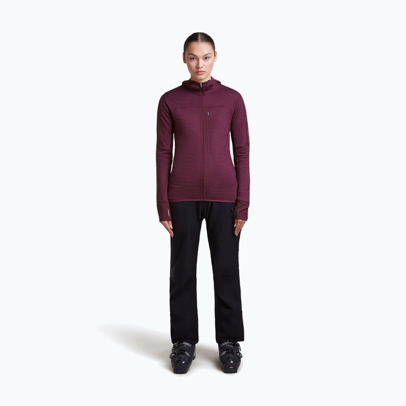 Női túra pulóver Icebreaker Merino 300 Realfleece Descender Zip Hoodie dark berry 2