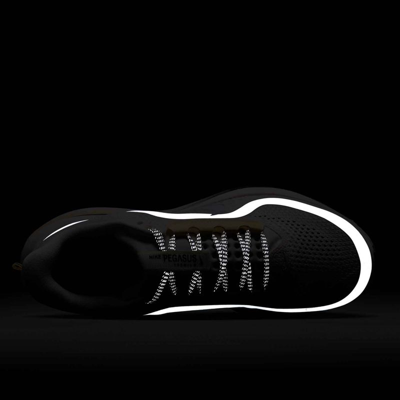 Nike Pegasus Premium női futócipő sail/alabaster/anthracite/white 10