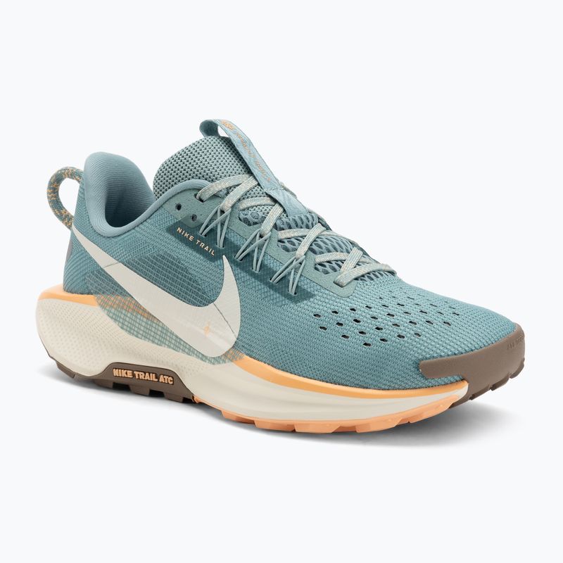 Nike Pegasus Trail 5 női futócipő cannon / soft pearl / nerc barna