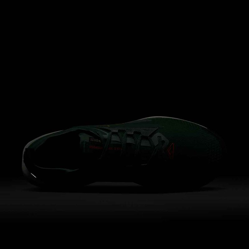 Férfi futócipő Nike Pegasus Trail 5 GORE-TEX fenyő/világos bíbor/agyag zöld 10