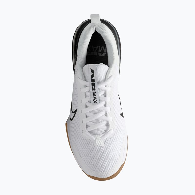 Férfi edzőcipők Nike Air Max Alpha Trainer 6 white/black/gum med brown/white 13