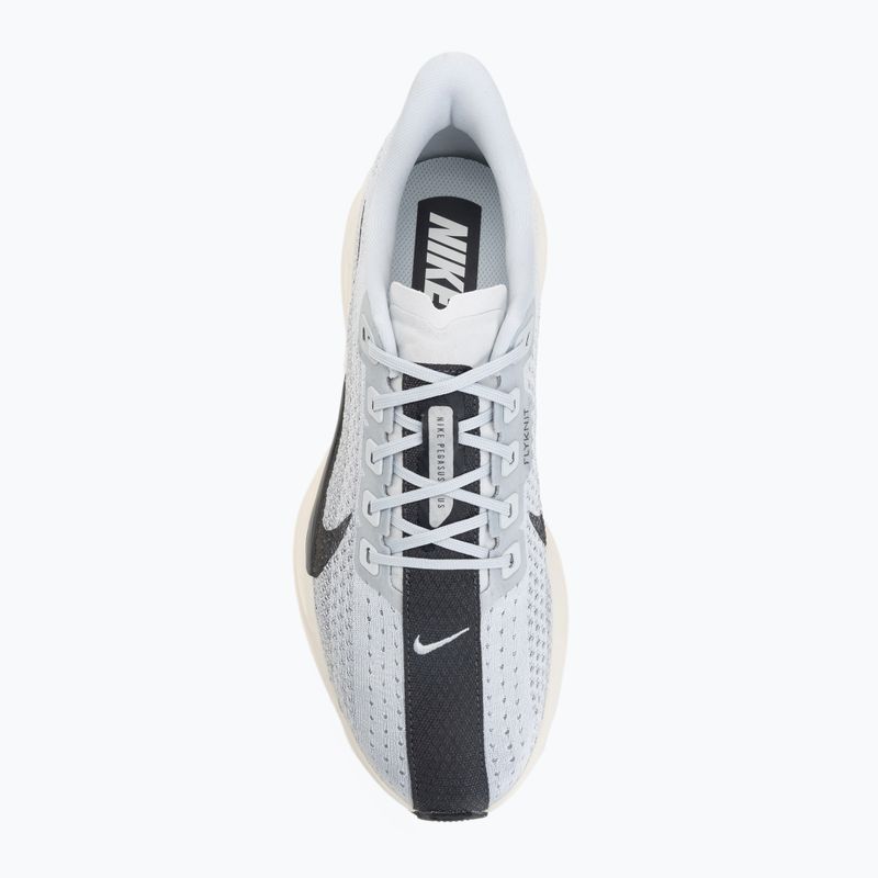 Férfi futócipők Nike Pegasus Plus pure platinum/wolf grey/sail/anthracite 5