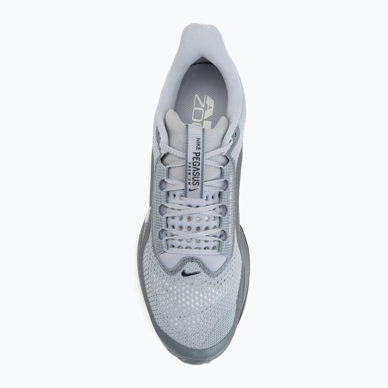 Férfi futócipő Nike Pegasus Premium wolf grey/cool grey/anthracite/sail 5