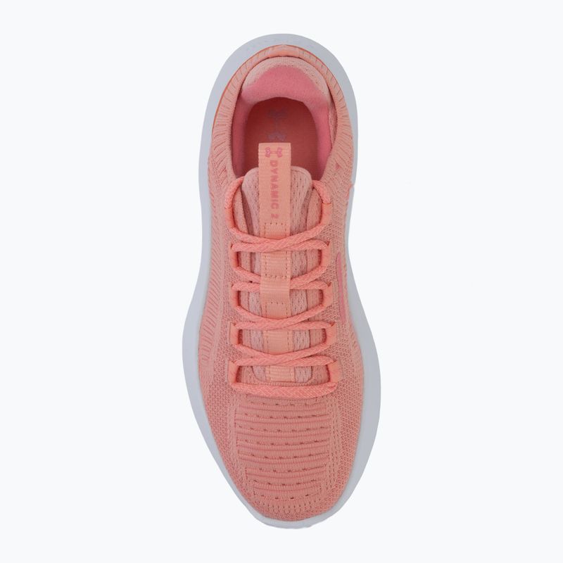 Női edzőcipő Under Armour Dynamic 2 posh pink/white/bittersweet pink 5