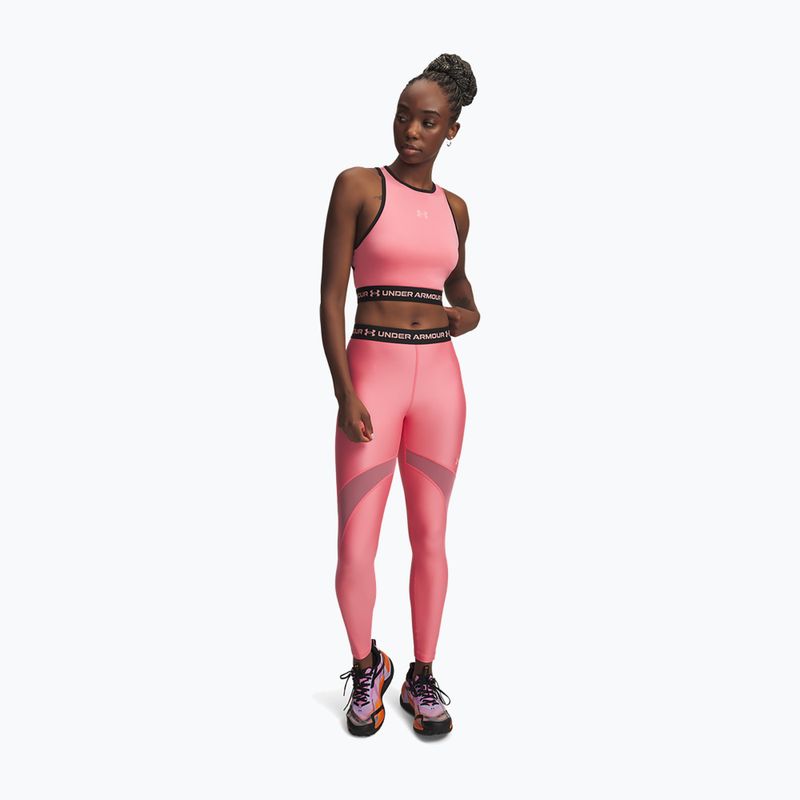 Férfi edzés leggings Under Armour HeatGear Mesh bittersweet pink/posh pink 2