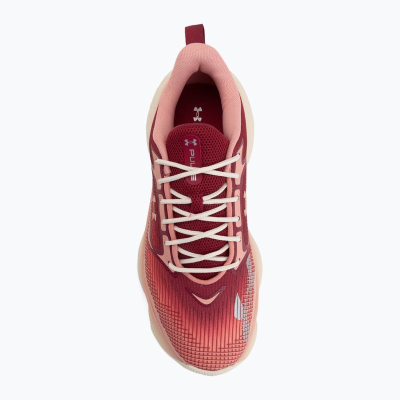 Női edzőcipők Under Armour Pulse claret/posh pink/posh pink 5