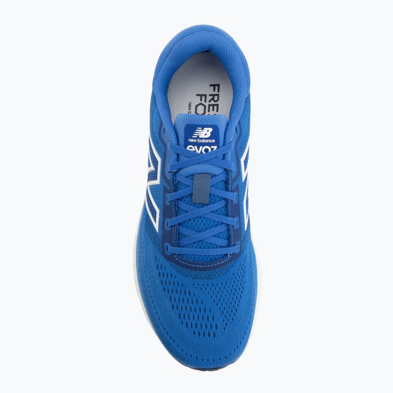 Férfi futócipő  New Balance Fresh Foam Evoz V4 blue bird/ 103 white 5