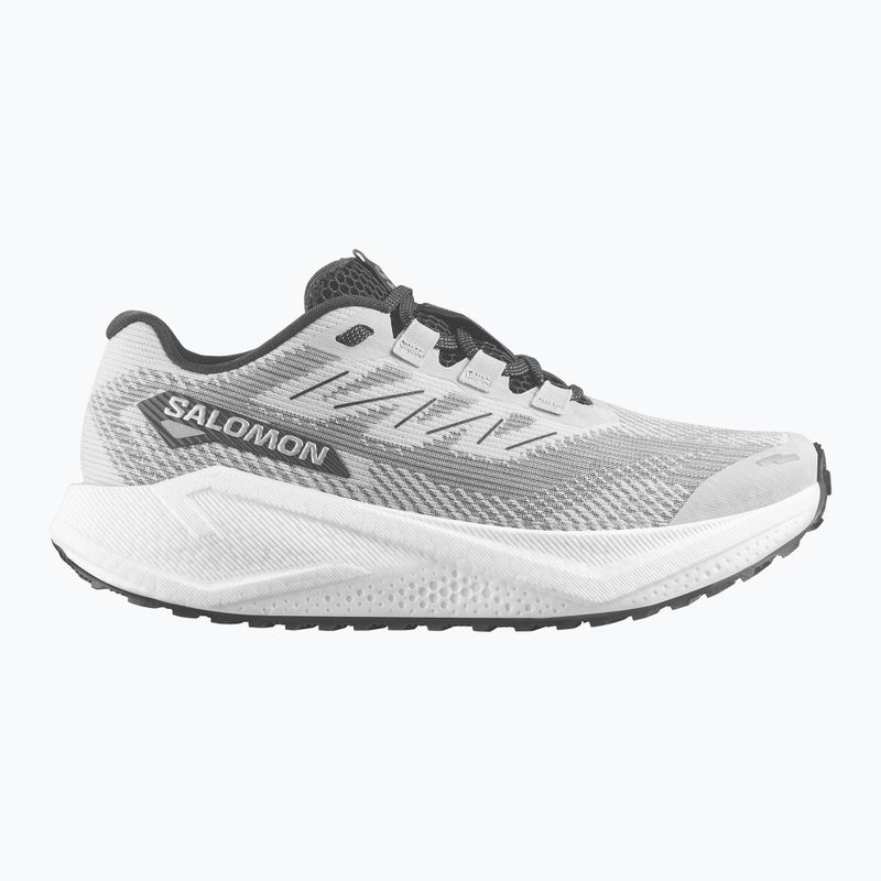 Férfi Salomon Aero Blaze 3 Gravel futócipő lunar rock/fehér/fekete 9