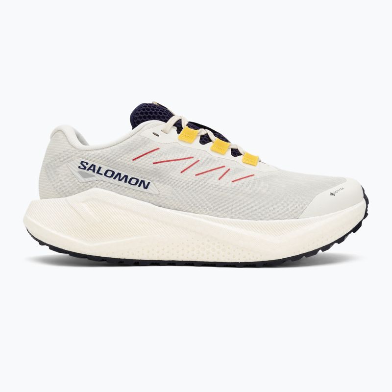 Férfi Salomon Aero Blaze 3 Gravel GTX futócipő vanilla ice/astral aura/lemon 2