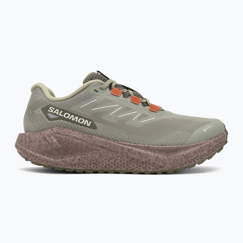 Férfi Salomon Aero Blaze 3 Gravel GTX futócipő tea/iron/burnt ochre 2