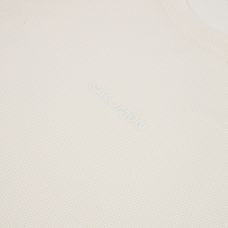 Férfi futó hosszú ujjú Salomon Shakeout Core whisper white 3