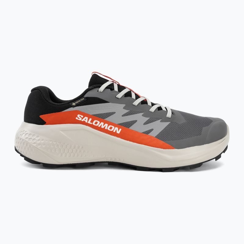 Férfi futócipők Salomon Alphaglide GTX castlerock/lunar rock 2