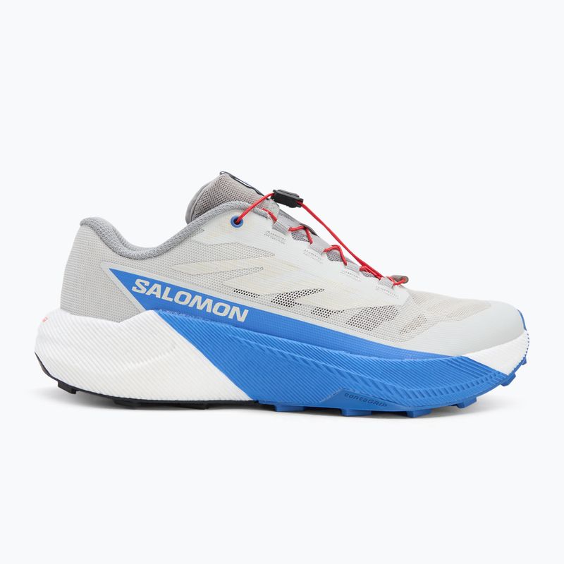 Férfi futócipő Salomon Pulsar lunar rock/white/french blue 2