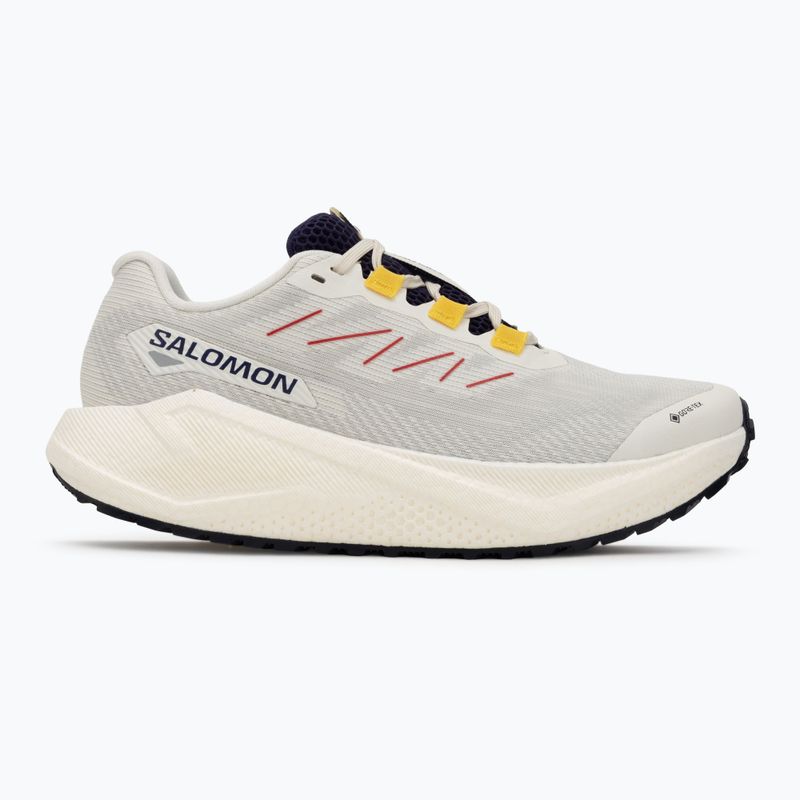 Női Salomon Aero Blaze 3 Gravel GTX futócipő vanilla ice/astral aura/lemon 2