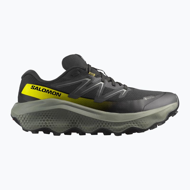 Férfi futócipő Salomon Ultra Flow 2 GTX fekete/sedona zsálya/incaberry 8