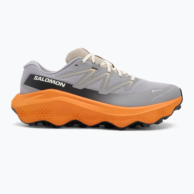 Férfi Salomon Ultra Flow 2 GTX futócipő gull/turmeric/white pepper 2