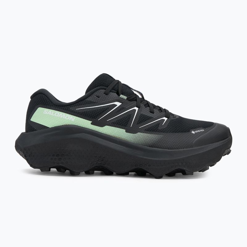 Férfi Salomon Ultra Flow 2 GTX futócipő fekete/fekete/patina zöld 2