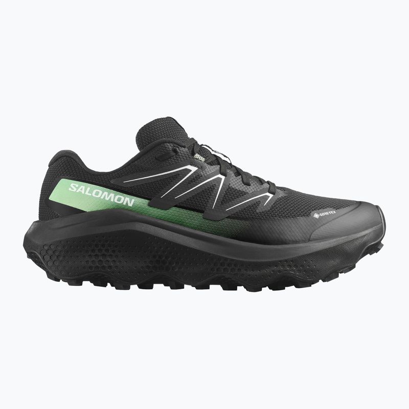 Férfi Salomon Ultra Flow 2 GTX futócipő fekete/fekete/patina zöld 8