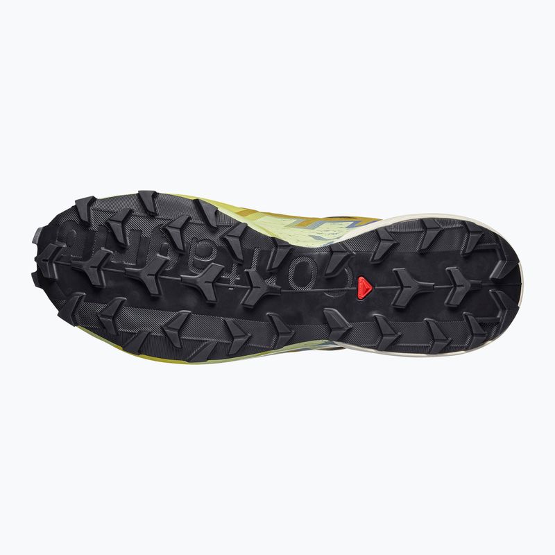 Férfi futócipők Salomon Speedcross 6 GTX grape leaf/aspargus green 5